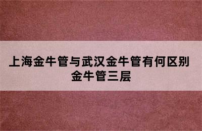 上海金牛管与武汉金牛管有何区别 金牛管三层